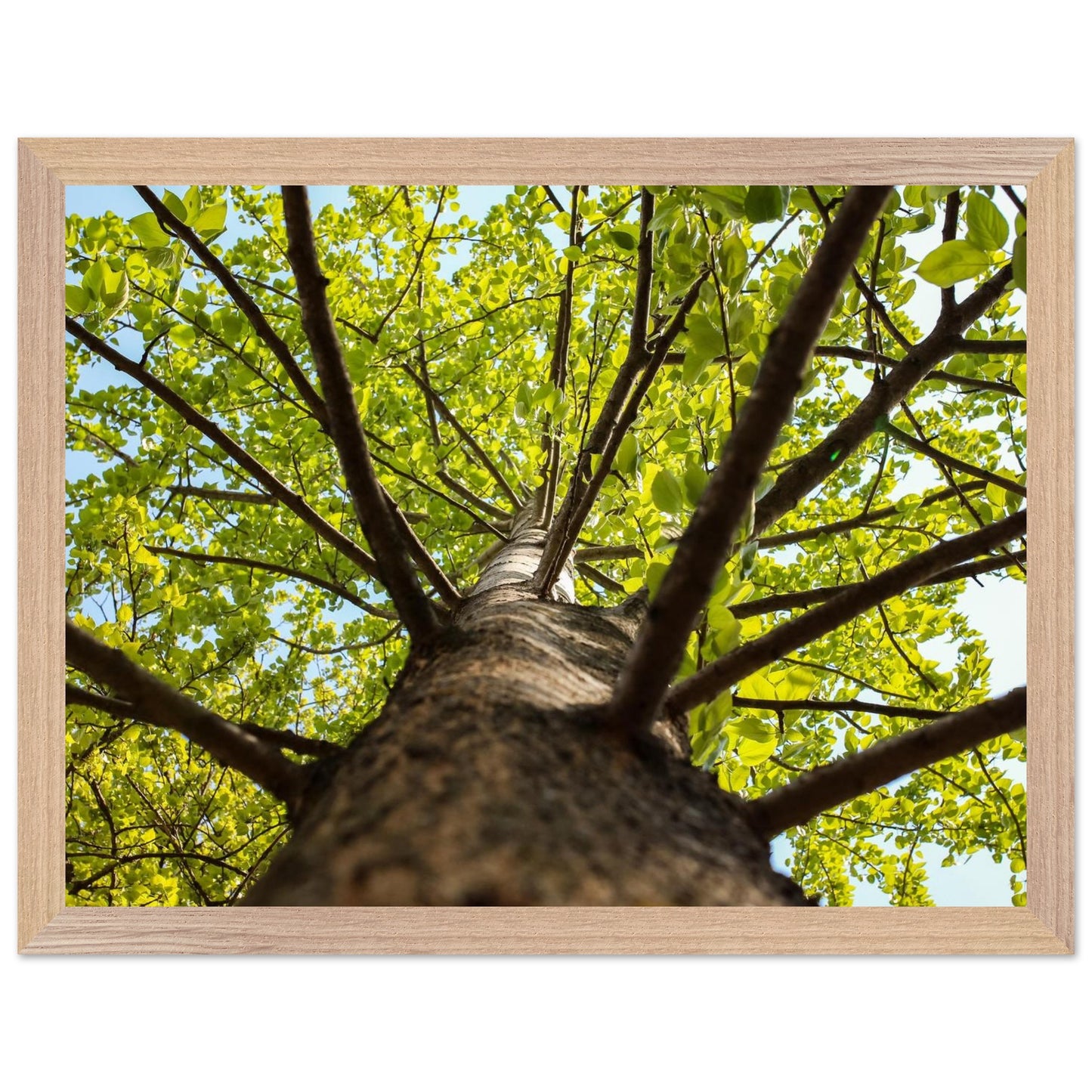 017e54cb-1d6a-42de-b80e-990658c2bc78