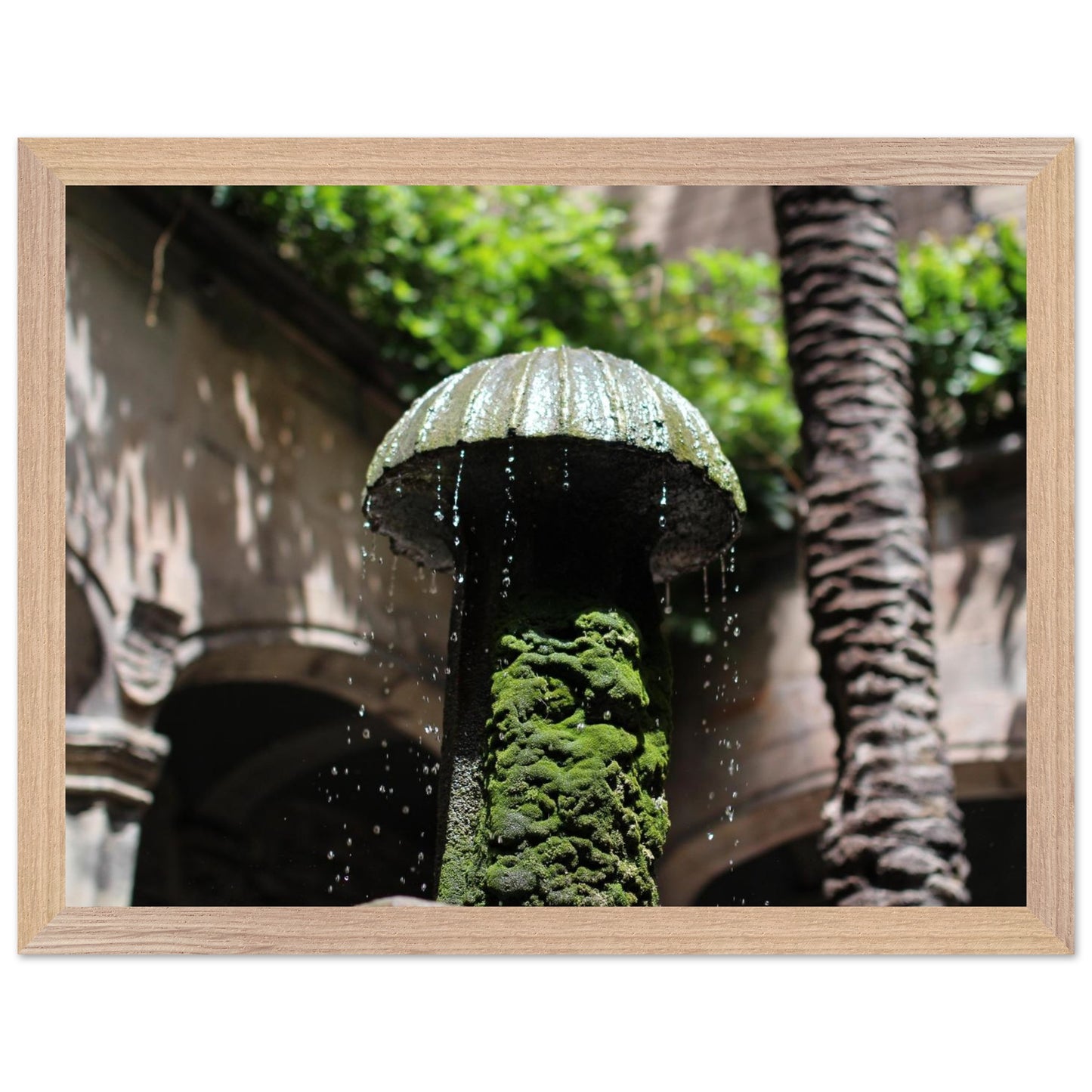 01f94a44-03f3-45e9-a037-f7aeeb640694