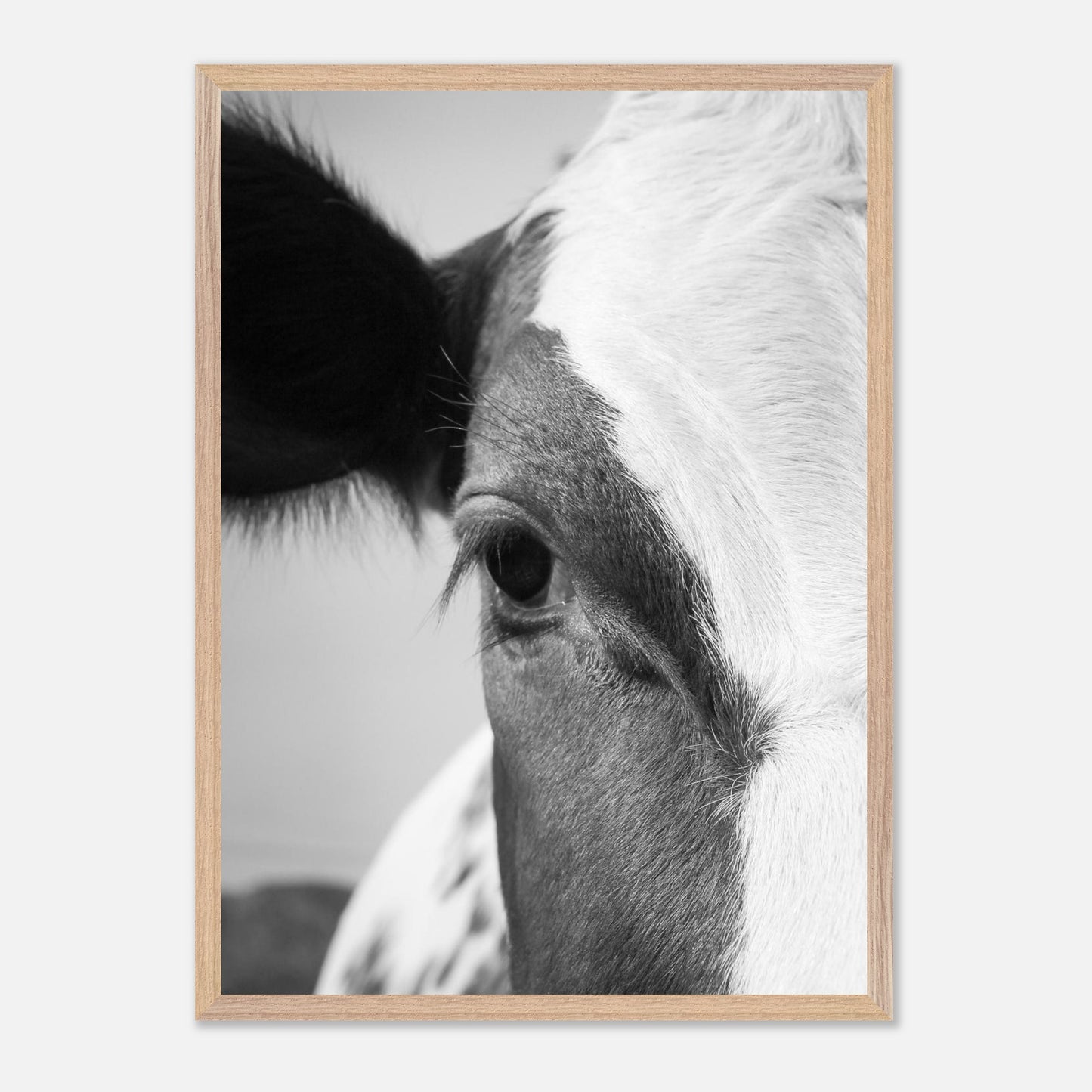 06bb6c18-79bf-4325-aac5-4e95b60b00ef