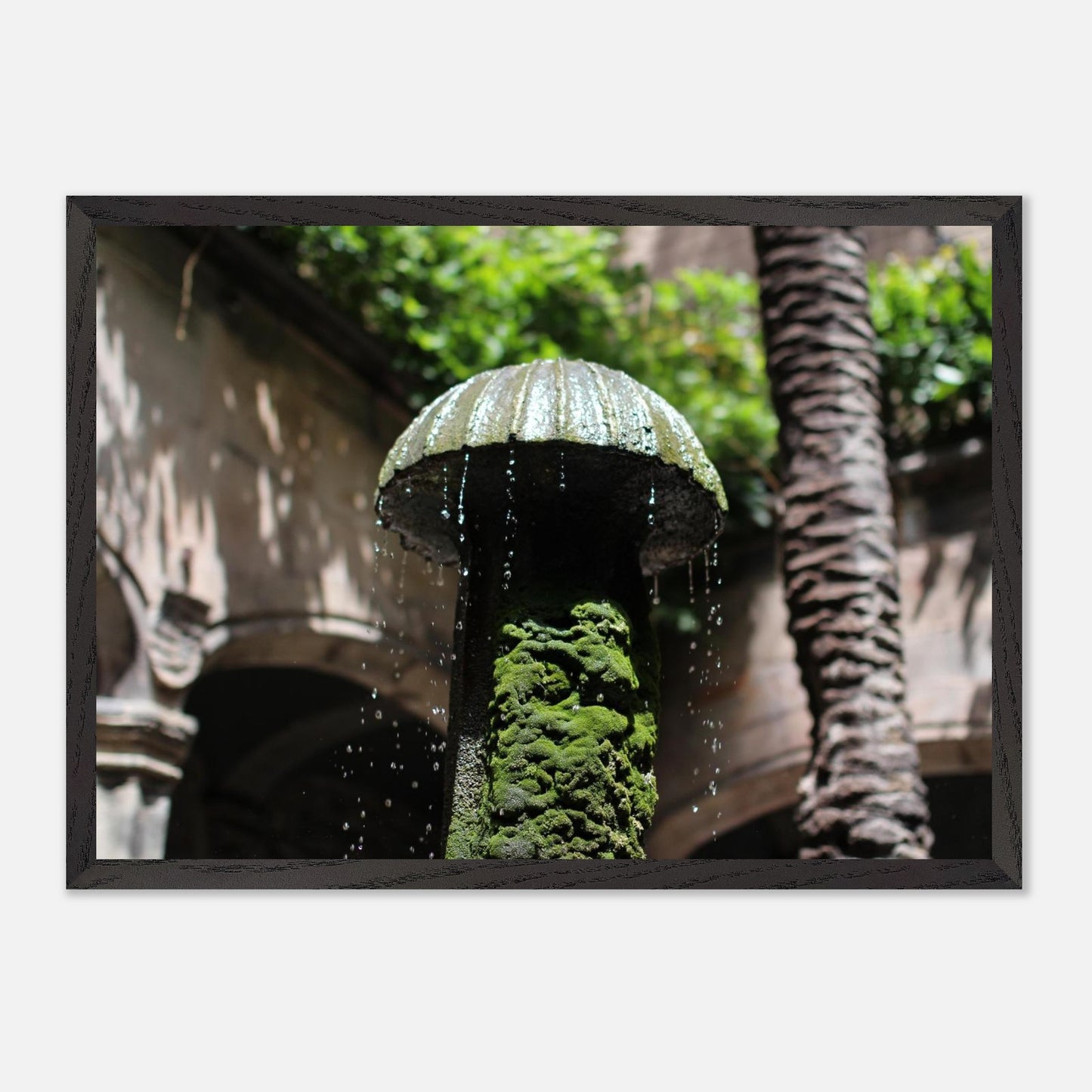 079645b4-4706-4abf-817e-51523afe5dbe