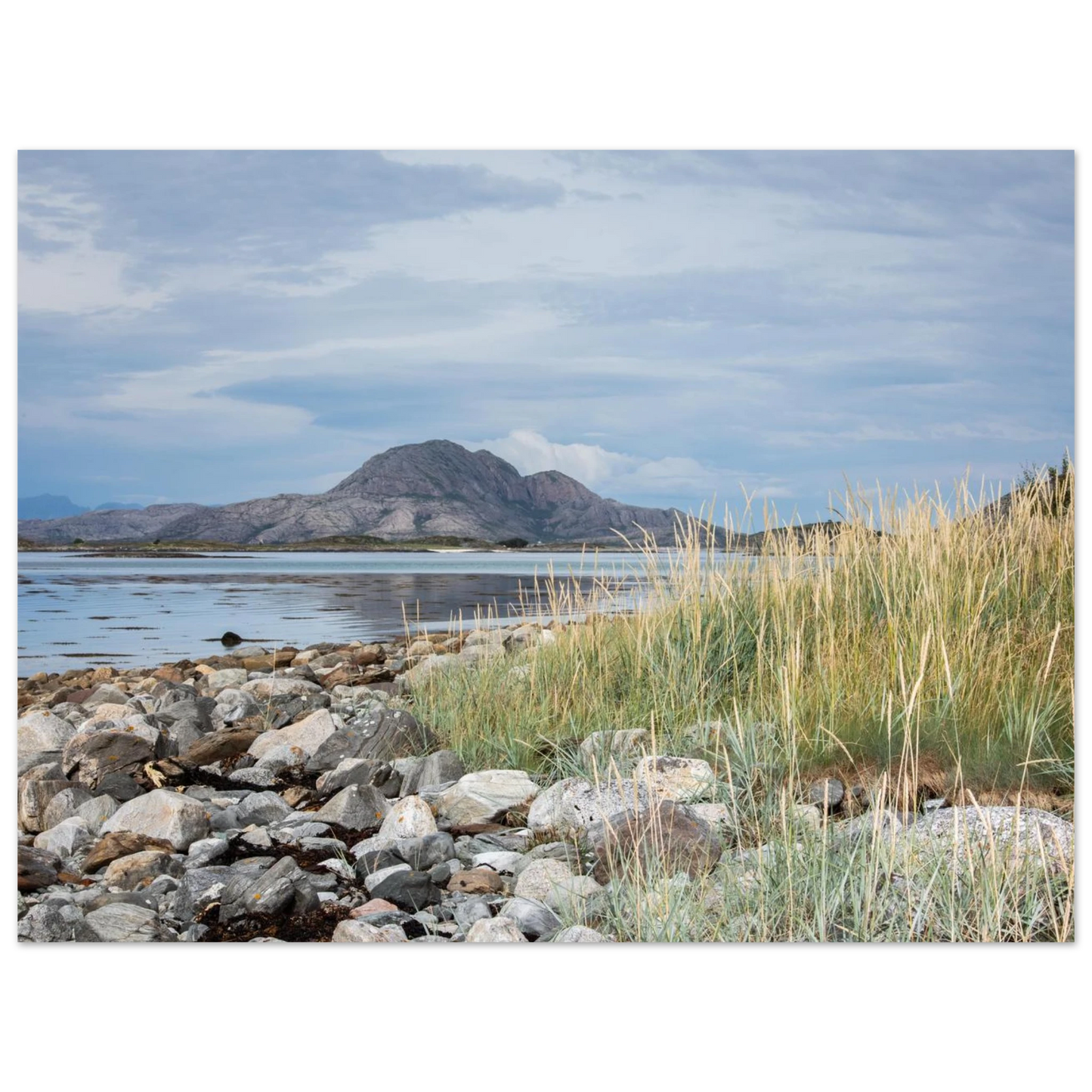 0825fa43-9586-48f6-a072-de83d50c2d93