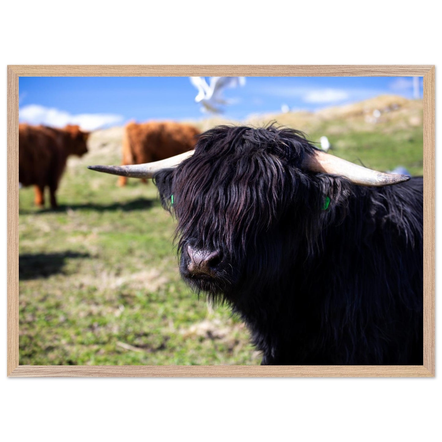 0e43d264-02ea-4613-b915-0925dc44851e