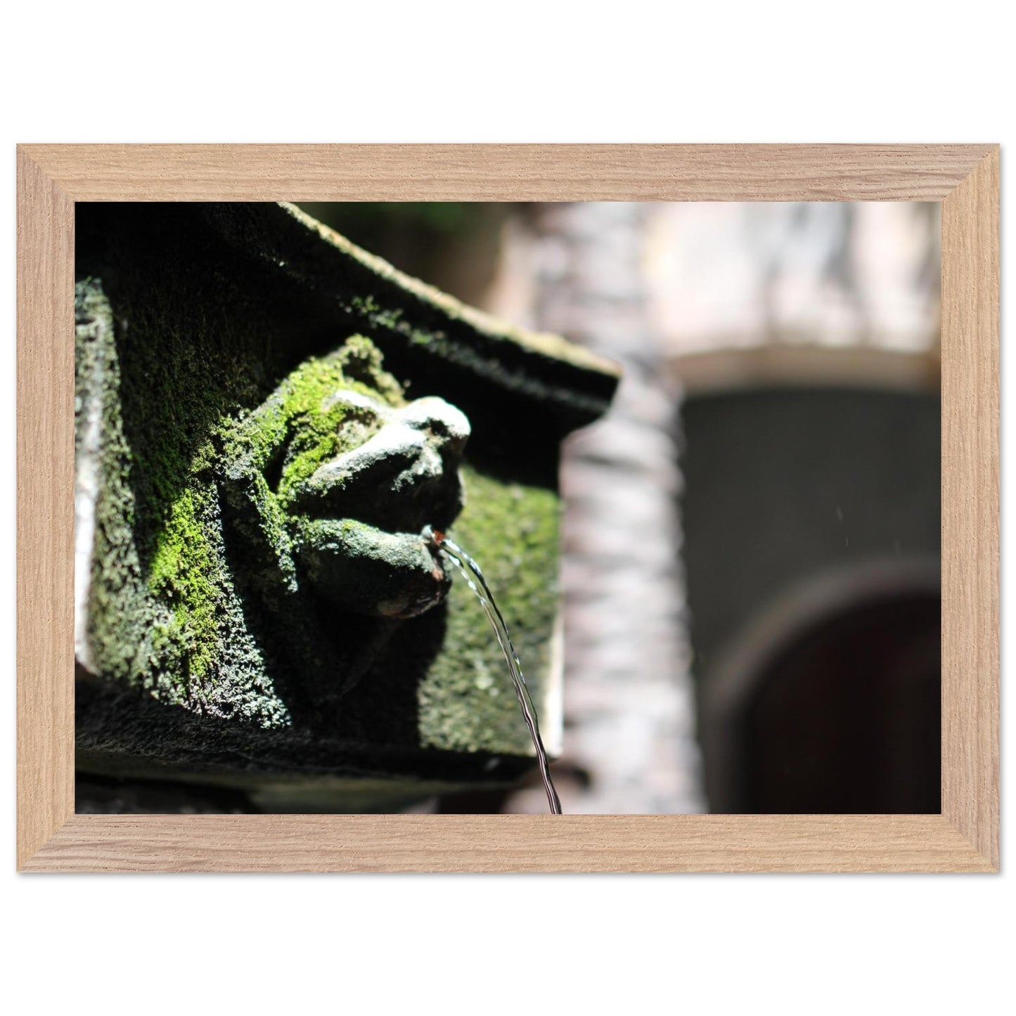 0ed77910-0162-400d-b2e4-c7bf2b655893