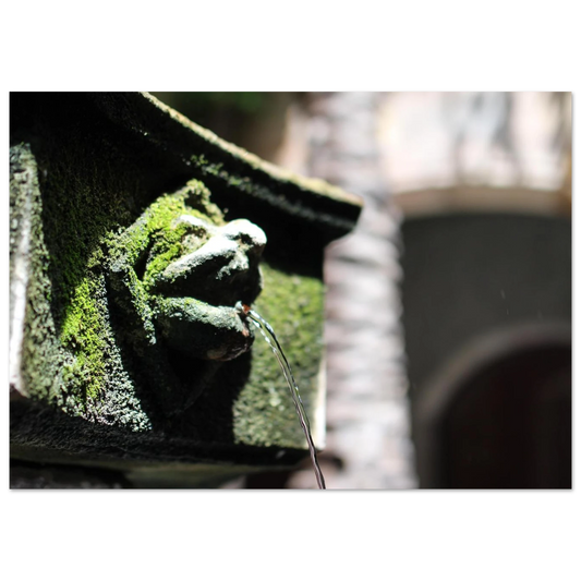 0f0ea0d9-5e0a-429d-a2d1-8de34d34d34b