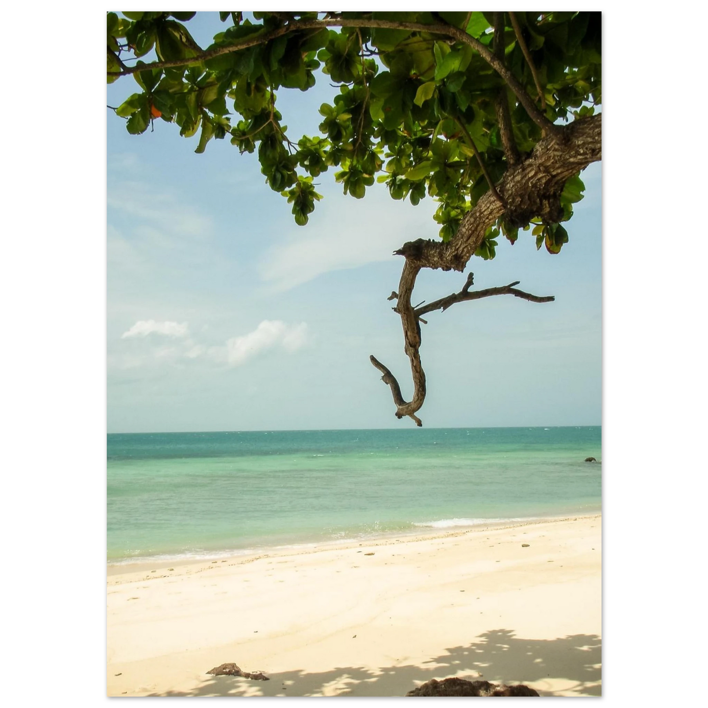 0f82e258-0f2f-4656-9c10-cb8b0b30b97f