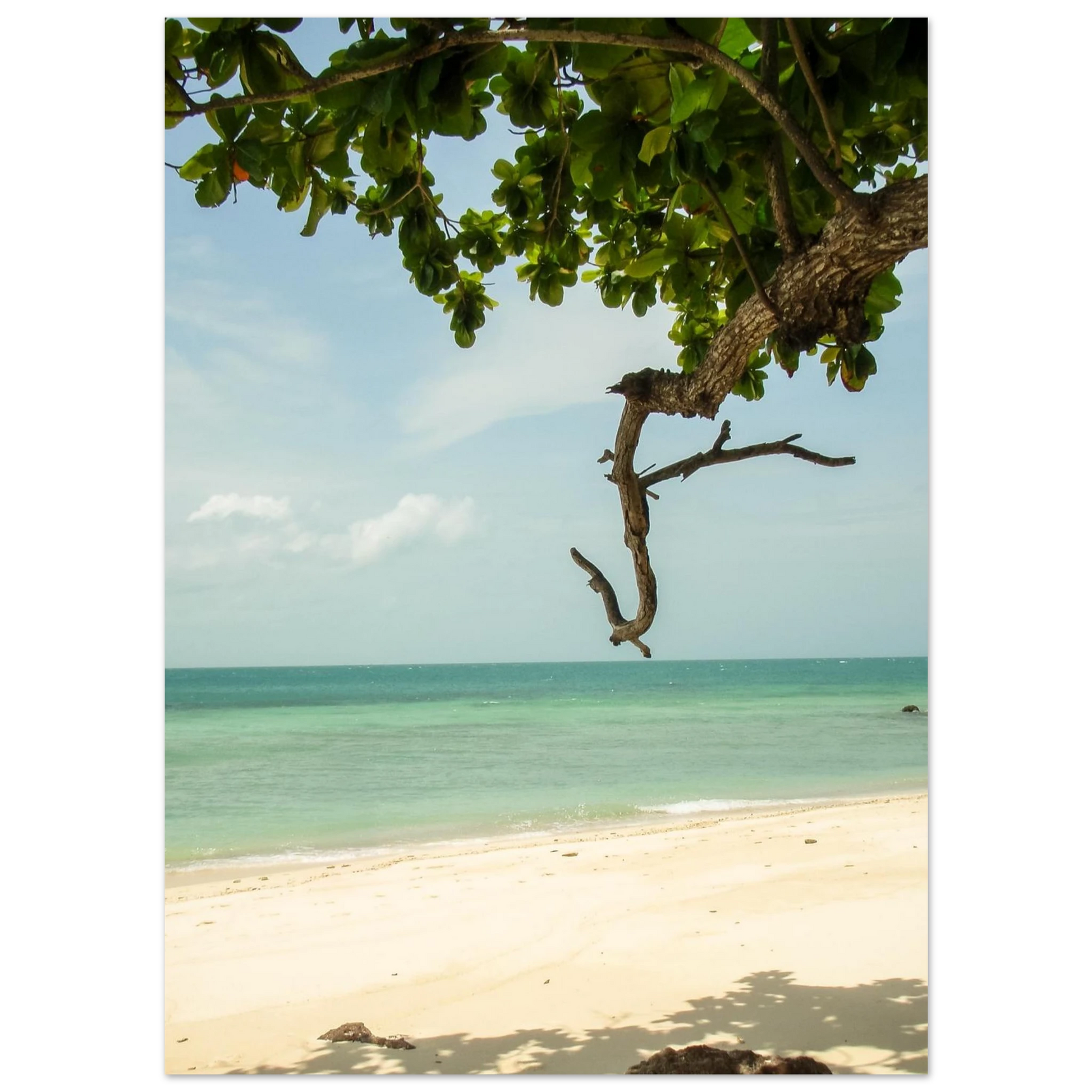 0f82e258-0f2f-4656-9c10-cb8b0b30b97f