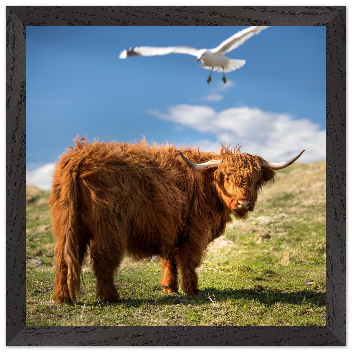 0f9e35d2-1b14-4376-8ad5-ce0a6d85e215