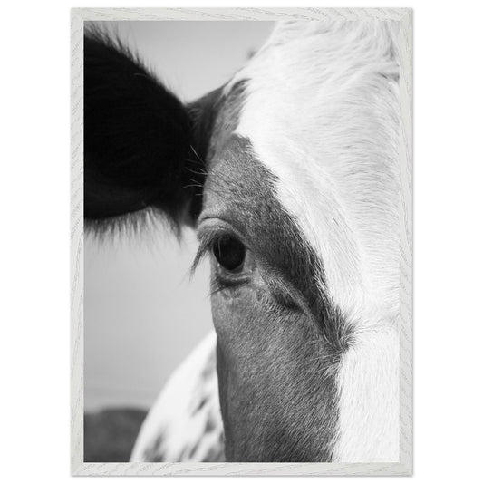 18e80081-c1a9-42e7-b02c-dd2bfcf03cc5