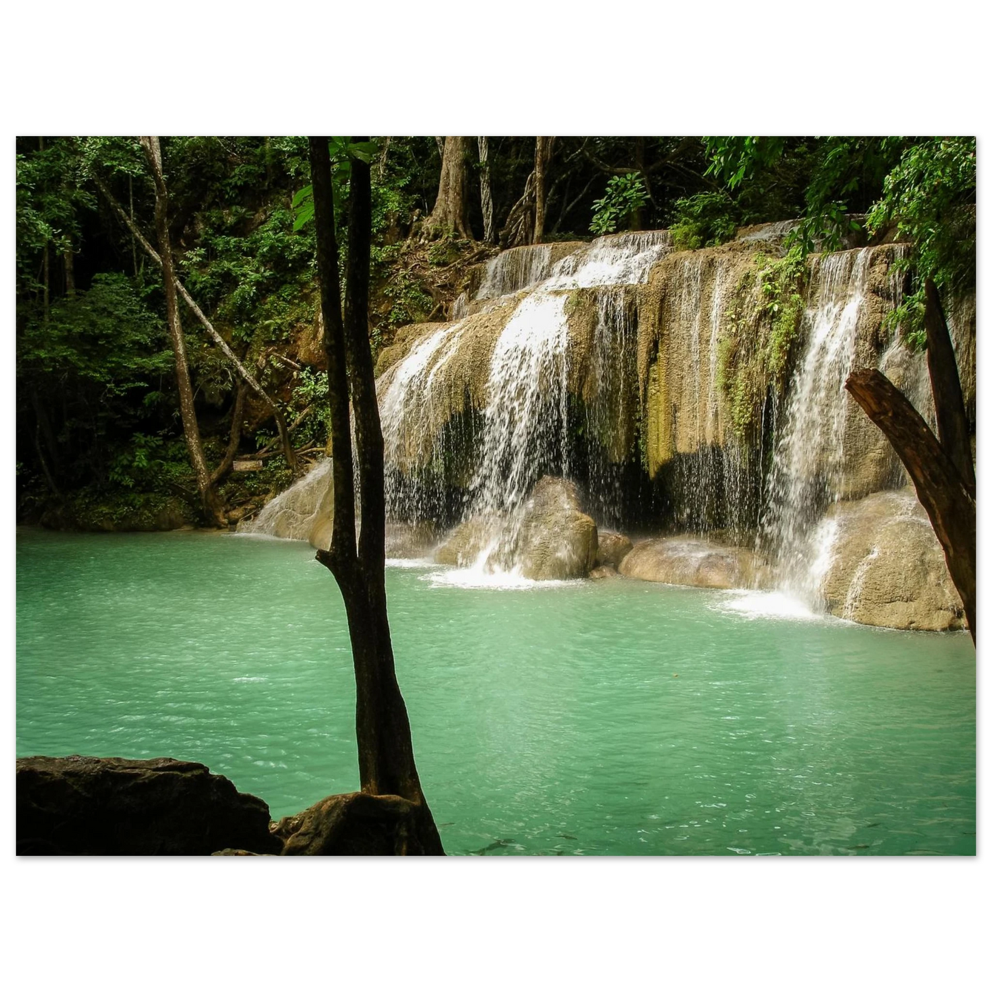 1a303180-7ce4-4ffb-9d03-8ab356618e7e