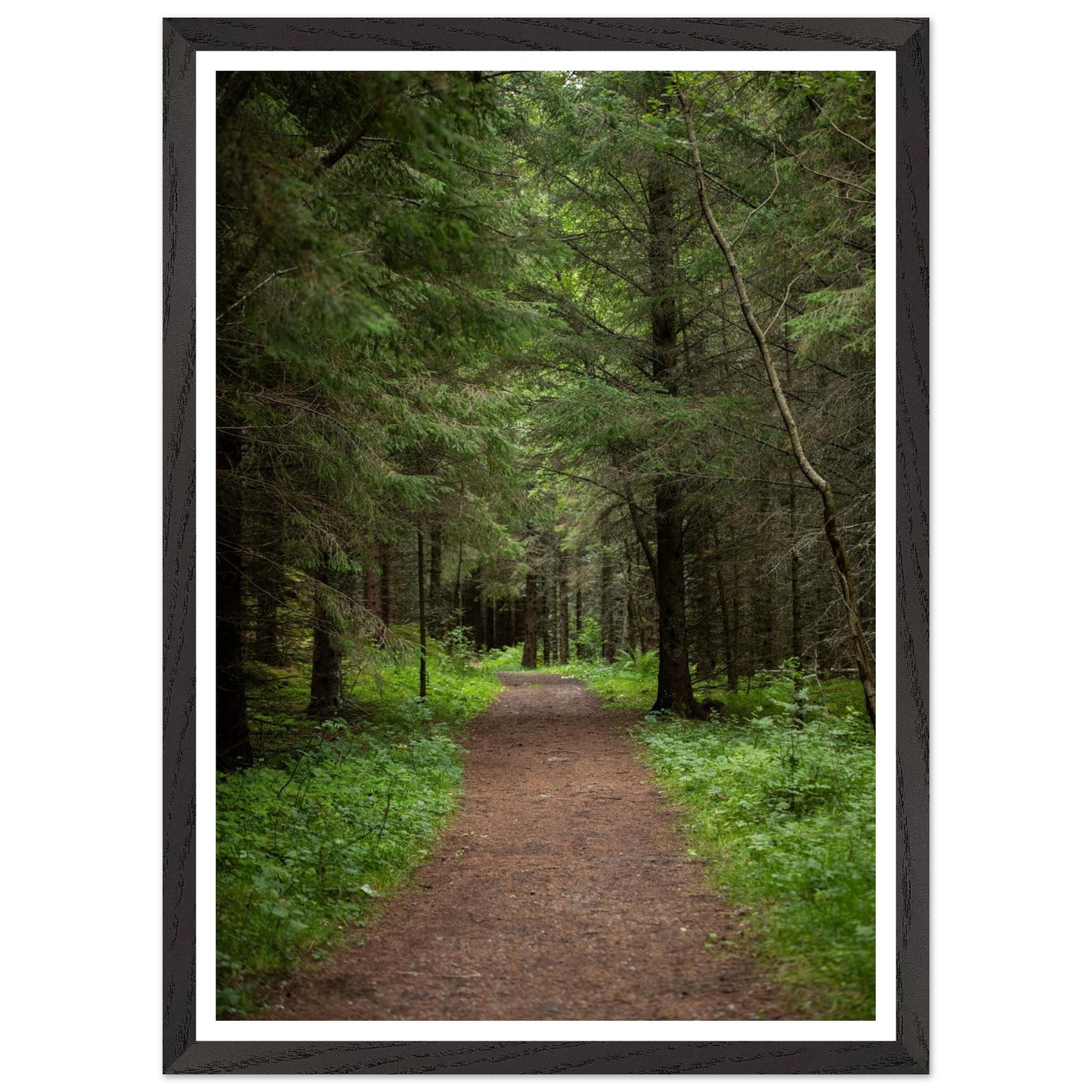 284007c0-8e32-4fc1-8fce-0c4dbc68c83a