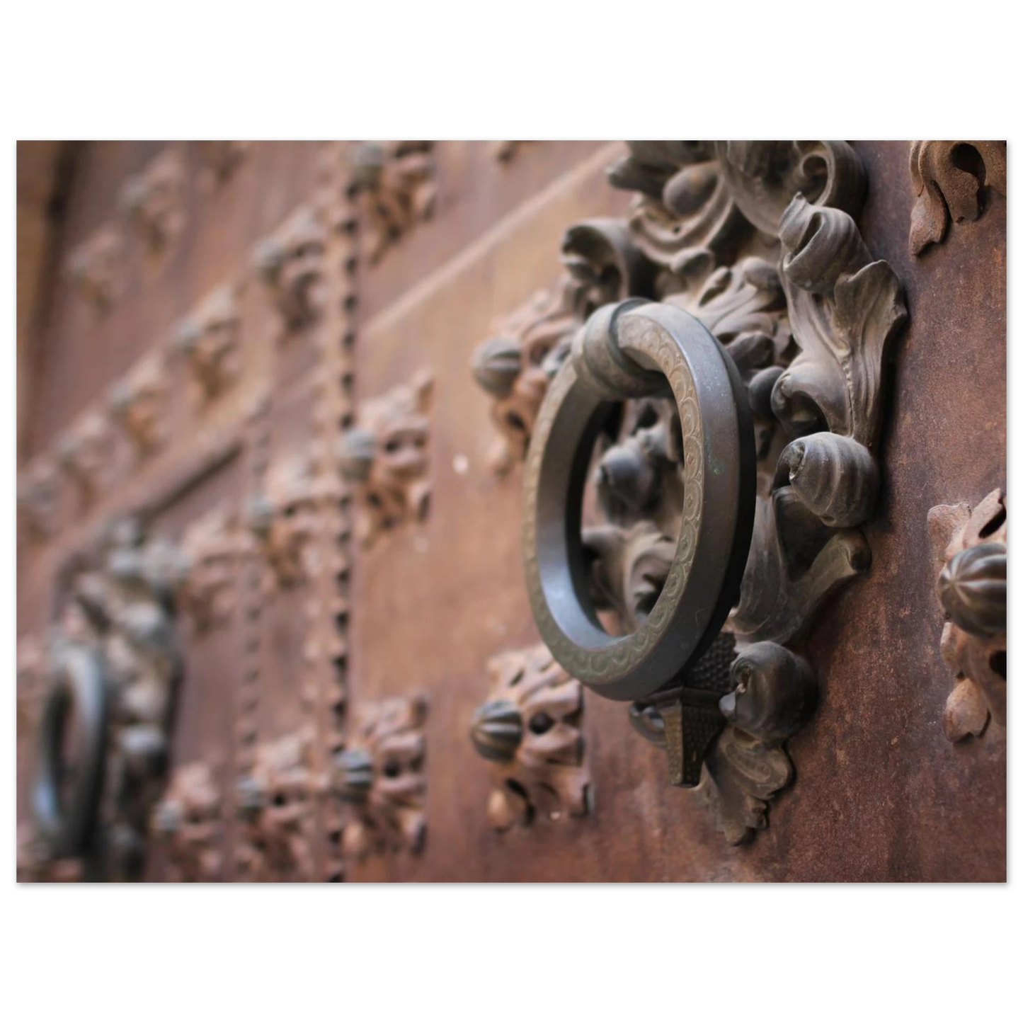 2c7e01b0-b8f7-4357-8049-d981f27291a9