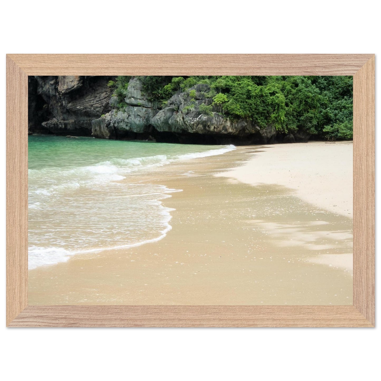 32e77a84-f169-41f1-979c-77483df7679f