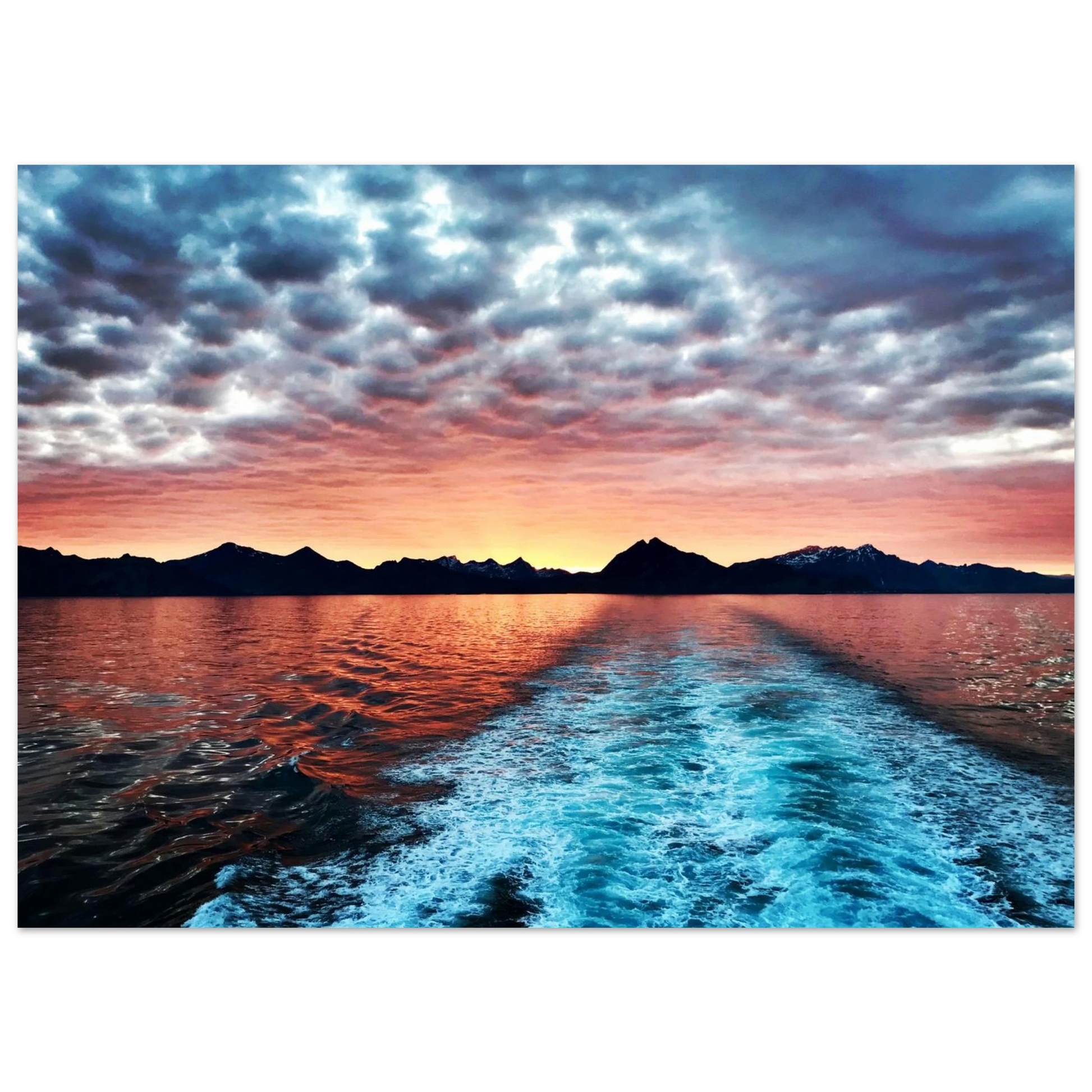 3374d88a-74af-491d-989c-1674b49e52d5