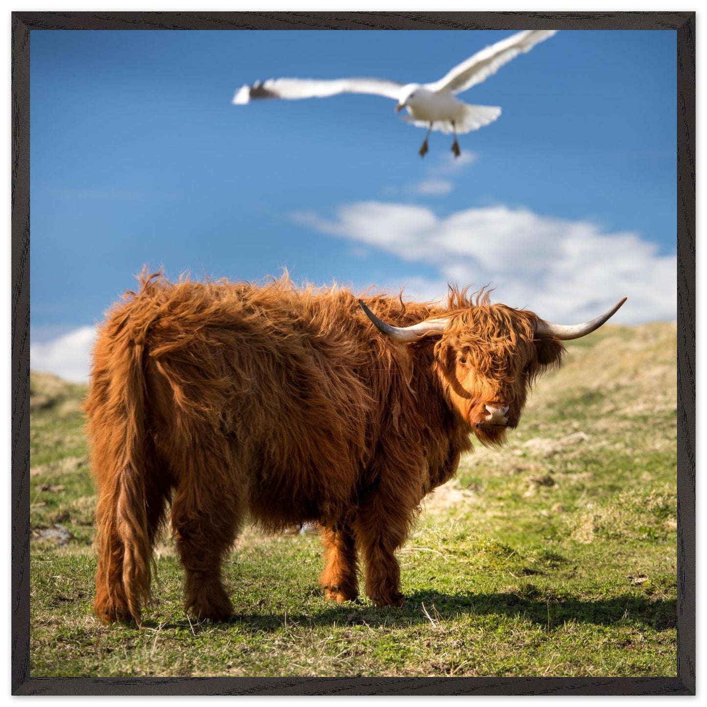 3950b4ae-8b77-49d4-91b2-7a803857efce