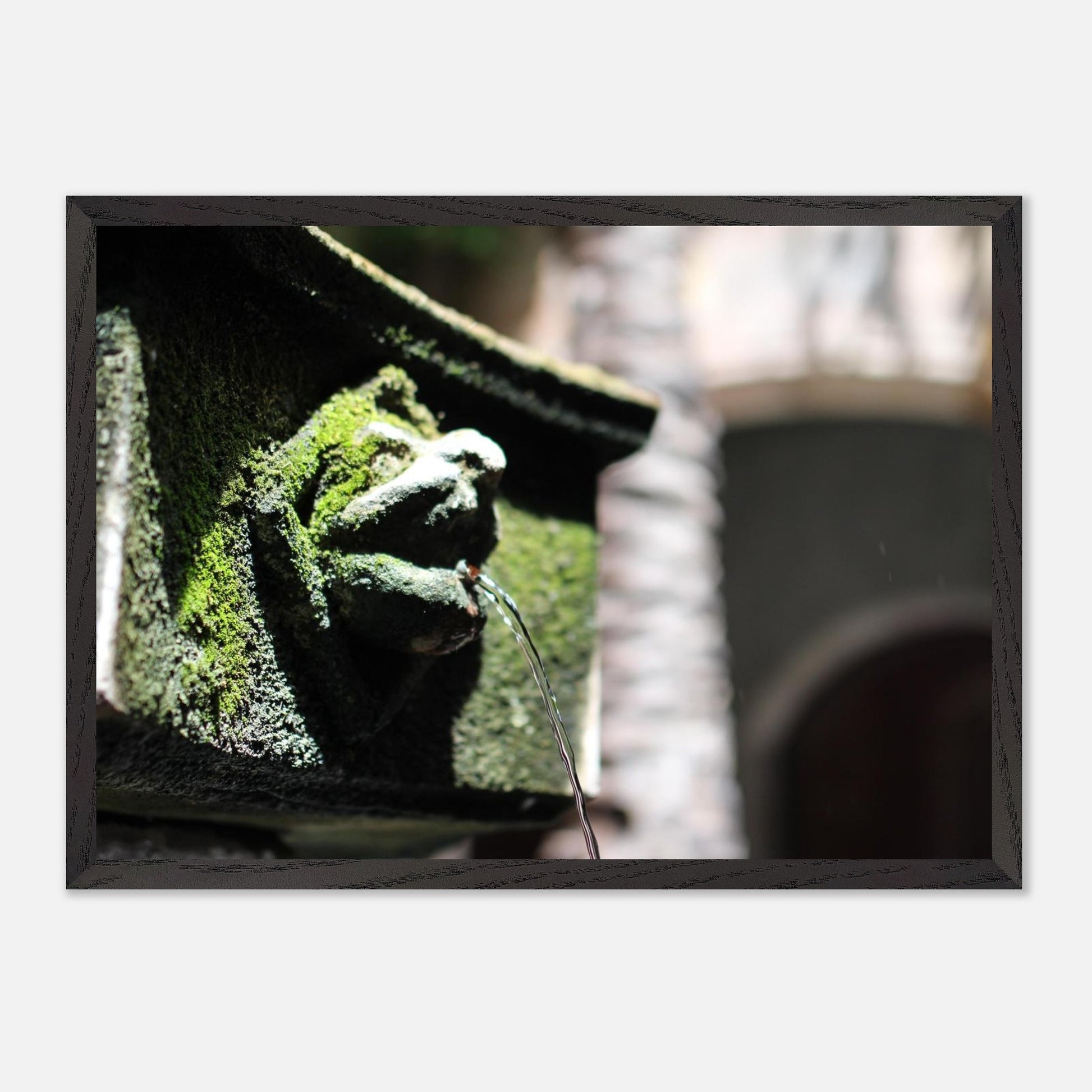 395f8e91-b18c-4a1a-95e5-f23f29ec8415