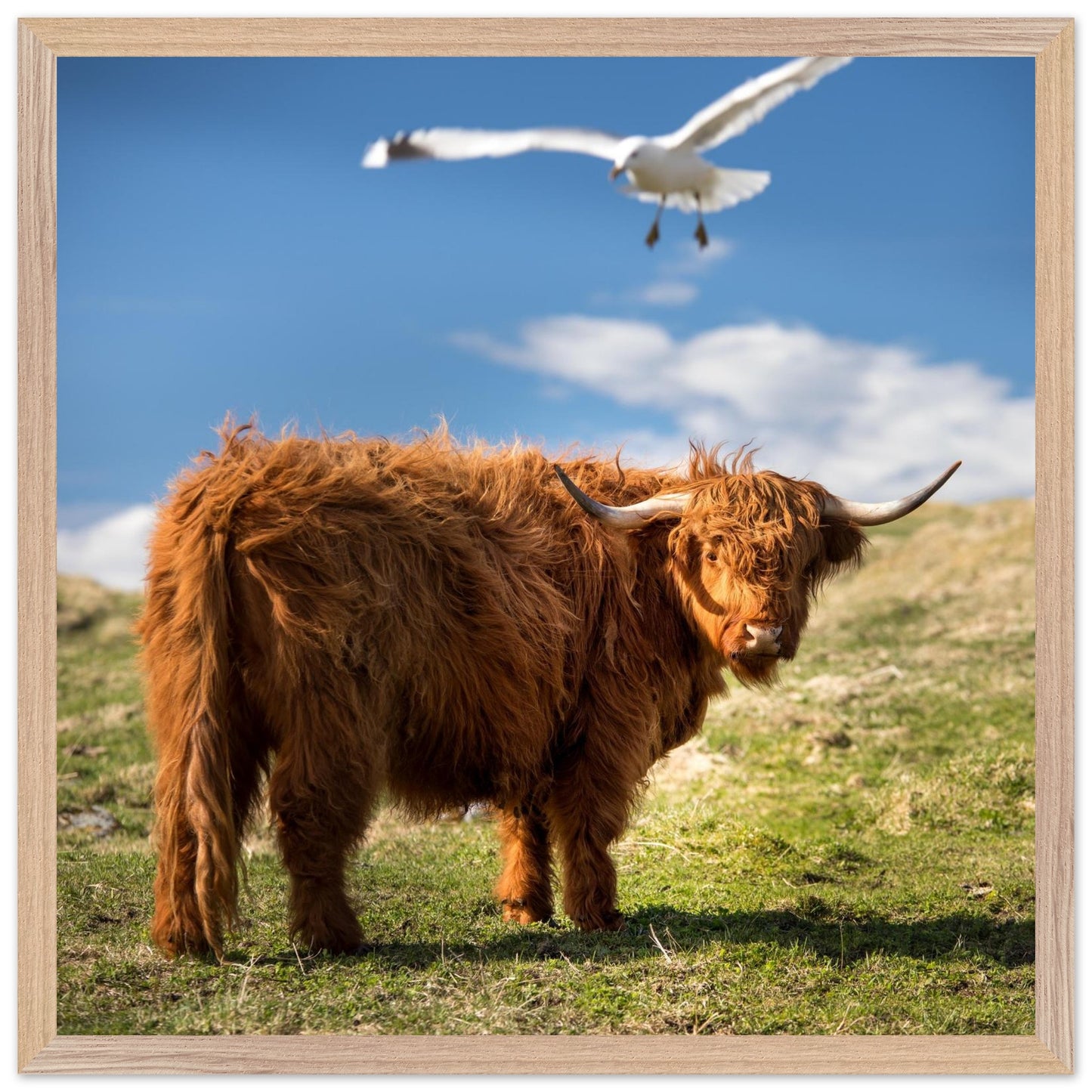 39b6fe48-a43a-4564-93d1-0bce40e4d394