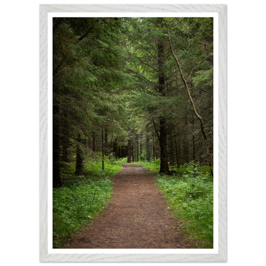 3cb72eb0-6c2c-4048-9005-42530c9e0c8c