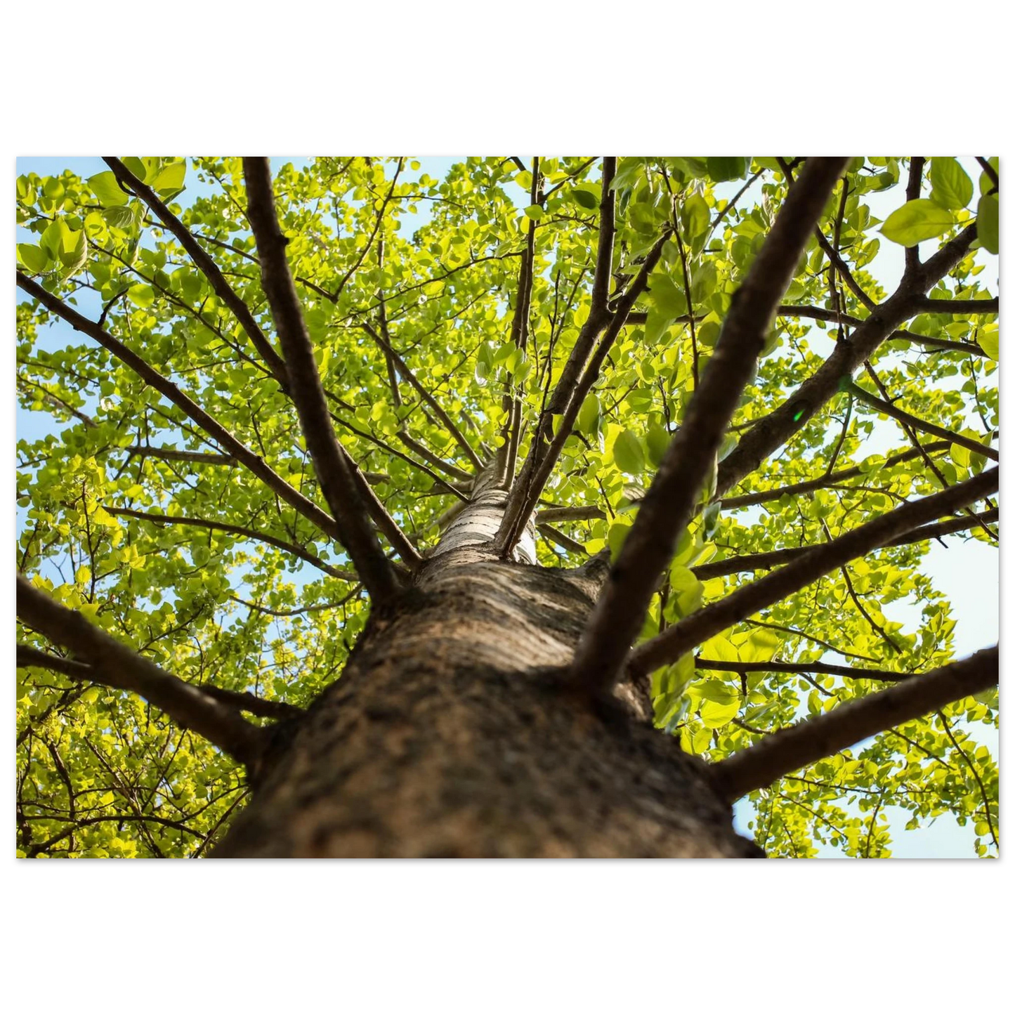 3e23a745-440a-41da-86cd-f63c1b2fc210