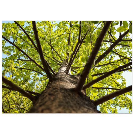 3e23a745-440a-41da-86cd-f63c1b2fc210