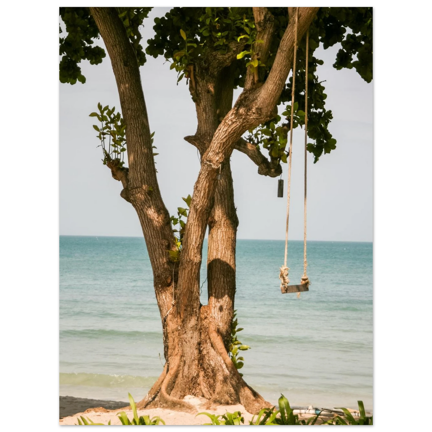 45f4dacd-98ec-4cb6-844c-22d8bf753c14