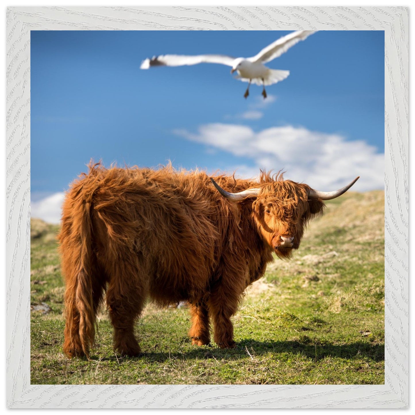 46327659-3058-4d57-9610-c2108a008015