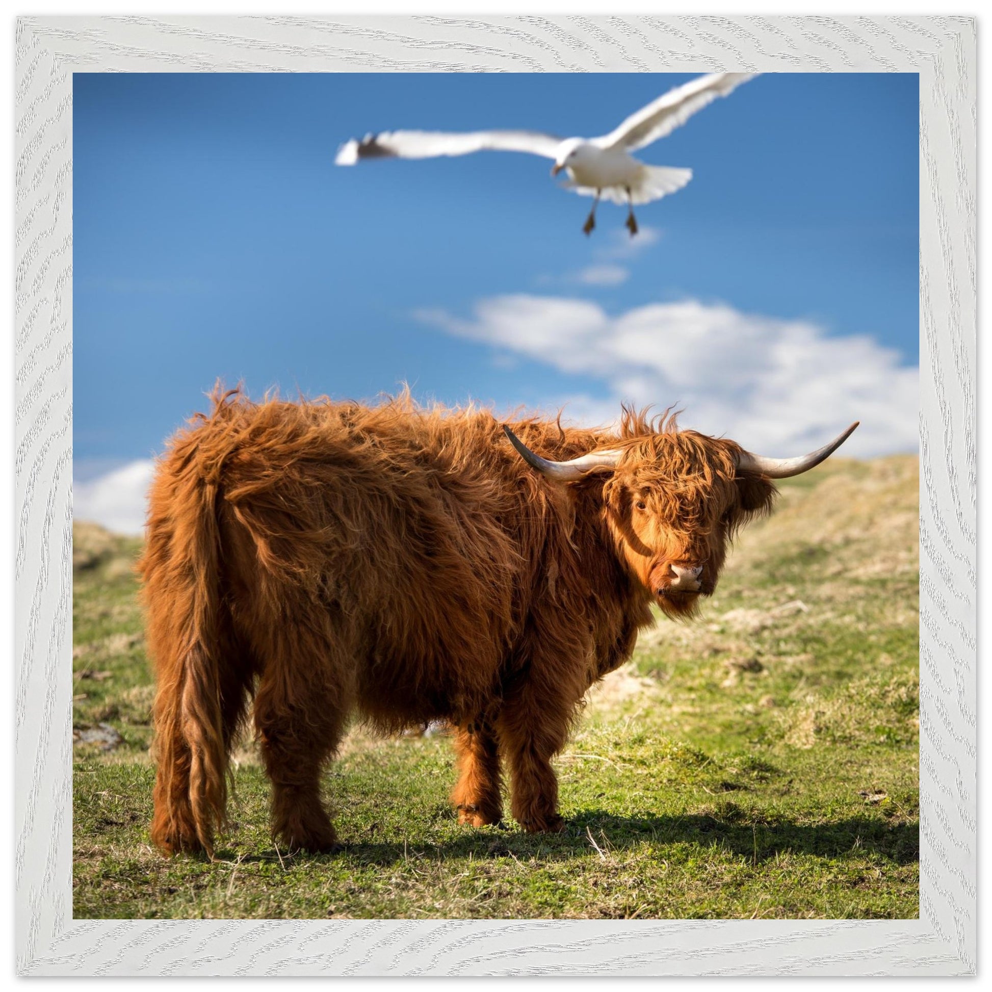 46327659-3058-4d57-9610-c2108a008015