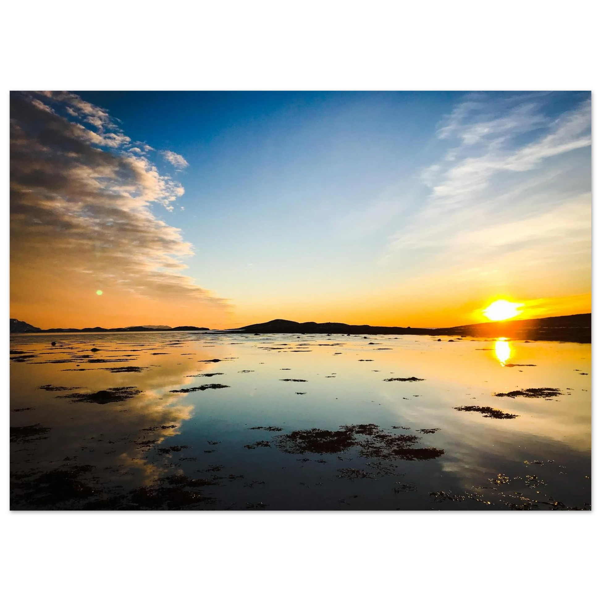 48322794-9777-4cc2-8e8c-26806b0467a4