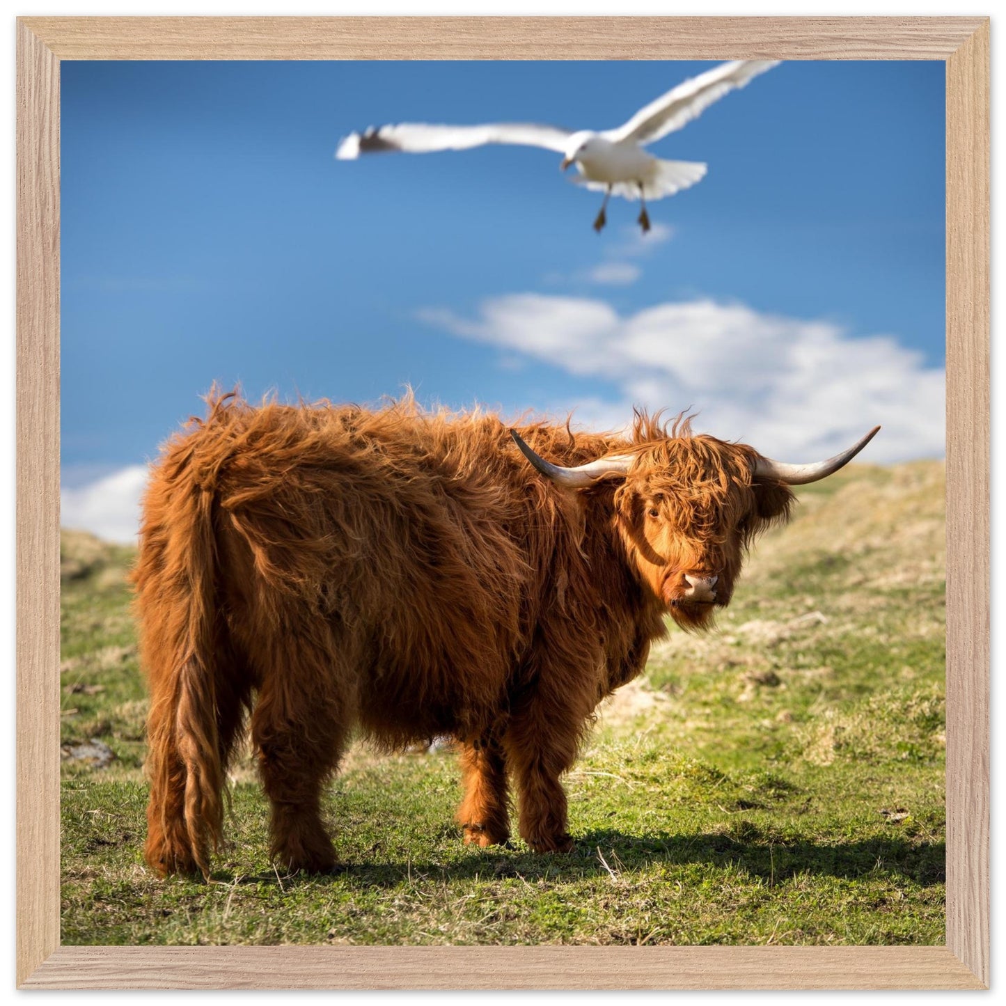 498ea984-4c2c-42f6-8746-0608707dccb0