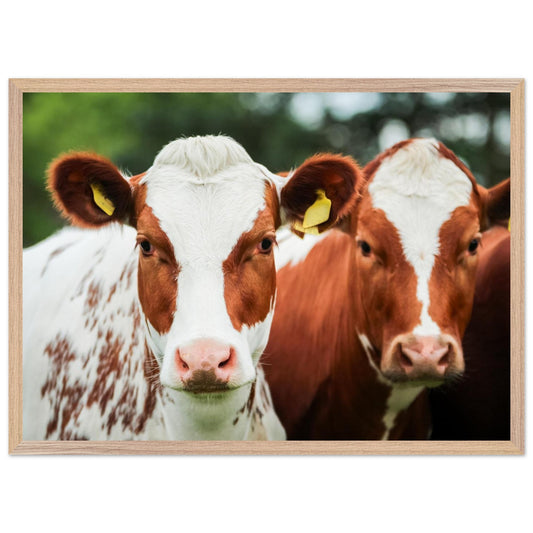 4e6ee2f0-70f1-413f-8519-934d5928ef23