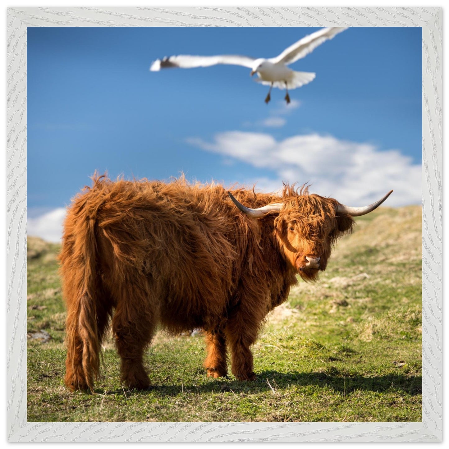 4f2e7db9-ed6d-4d8b-a66d-e75de784b87a