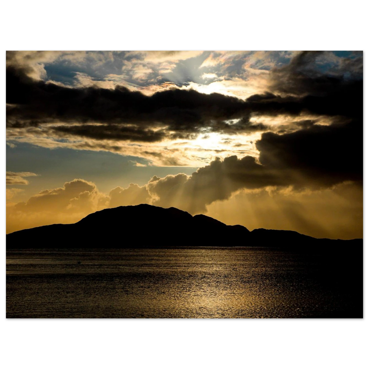 53ff43ee-a7a7-4616-b519-59df4f3cd891