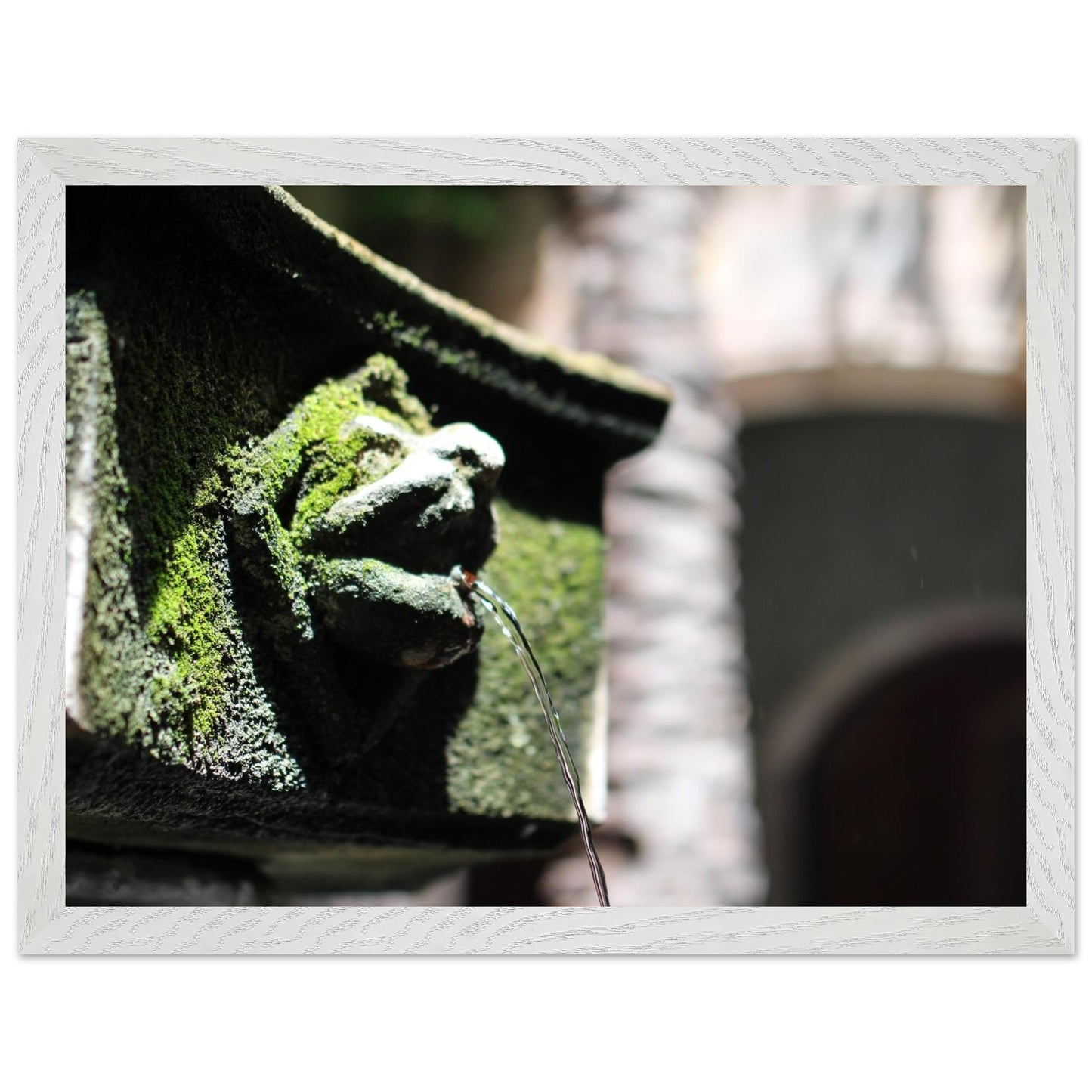 54471f3c-a3fb-4393-88b7-29125fce7c43