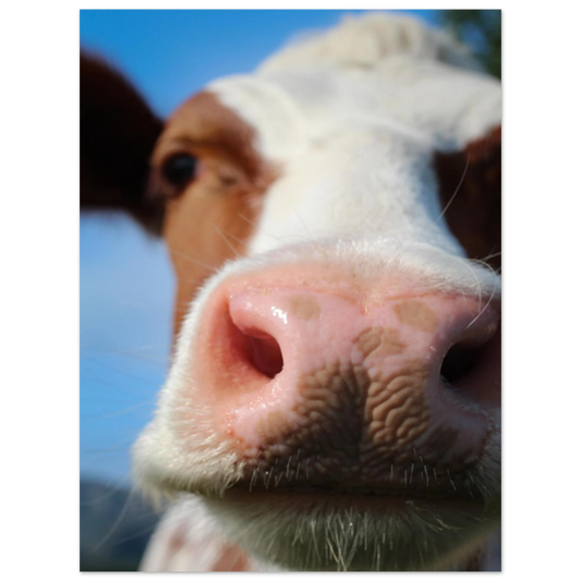 55dcec5e-bb71-436d-81a3-c2fbba980a09