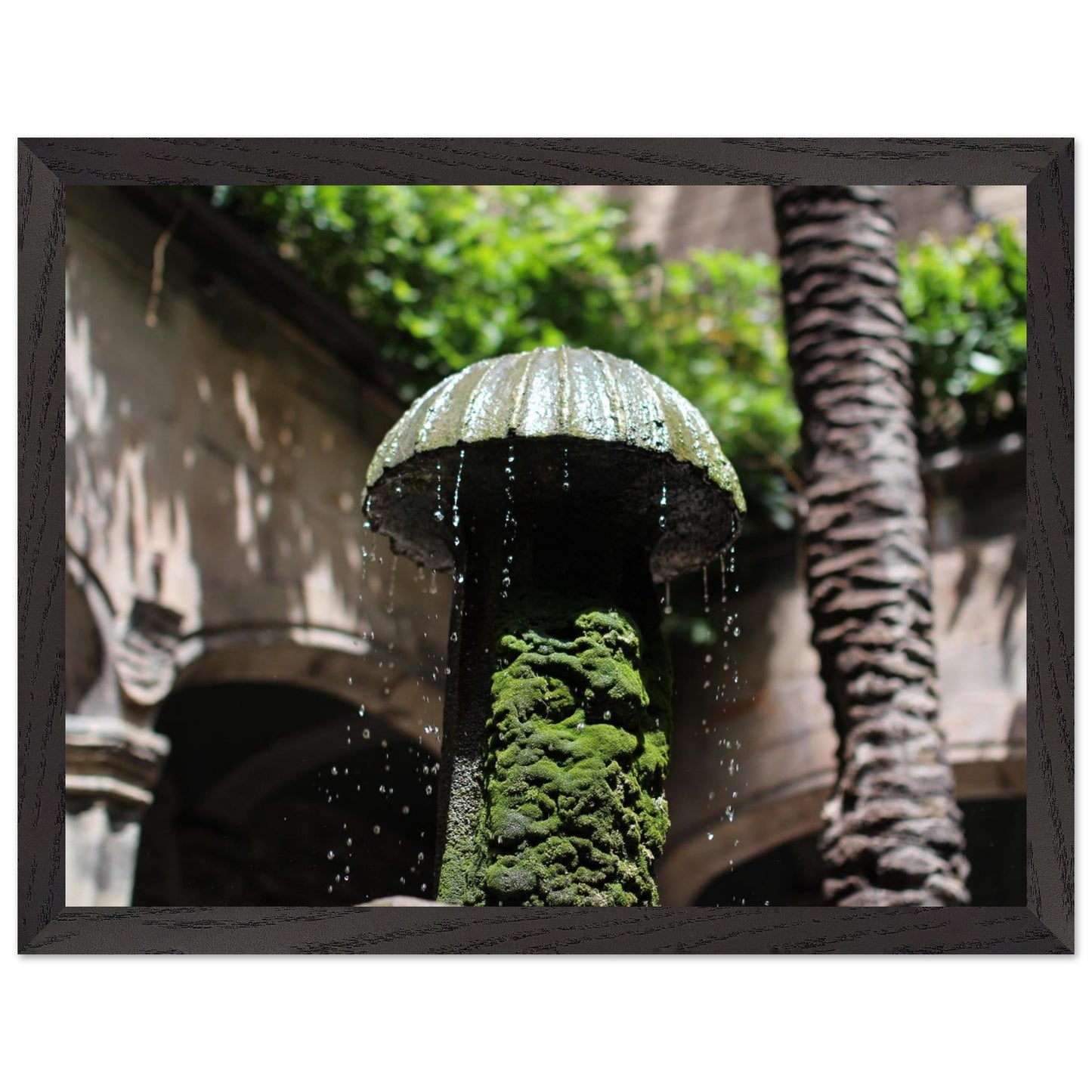 56ffbe9f-8c77-4259-988c-d549addcf0ef