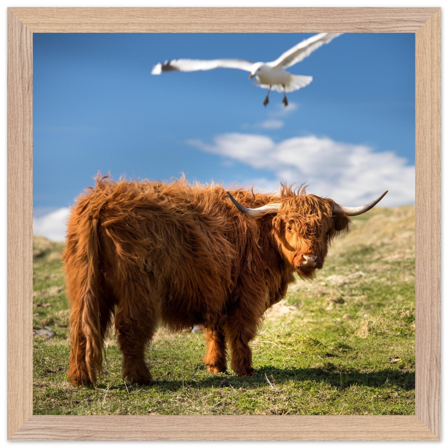 5750d057-3831-4163-84e9-b0410766098a