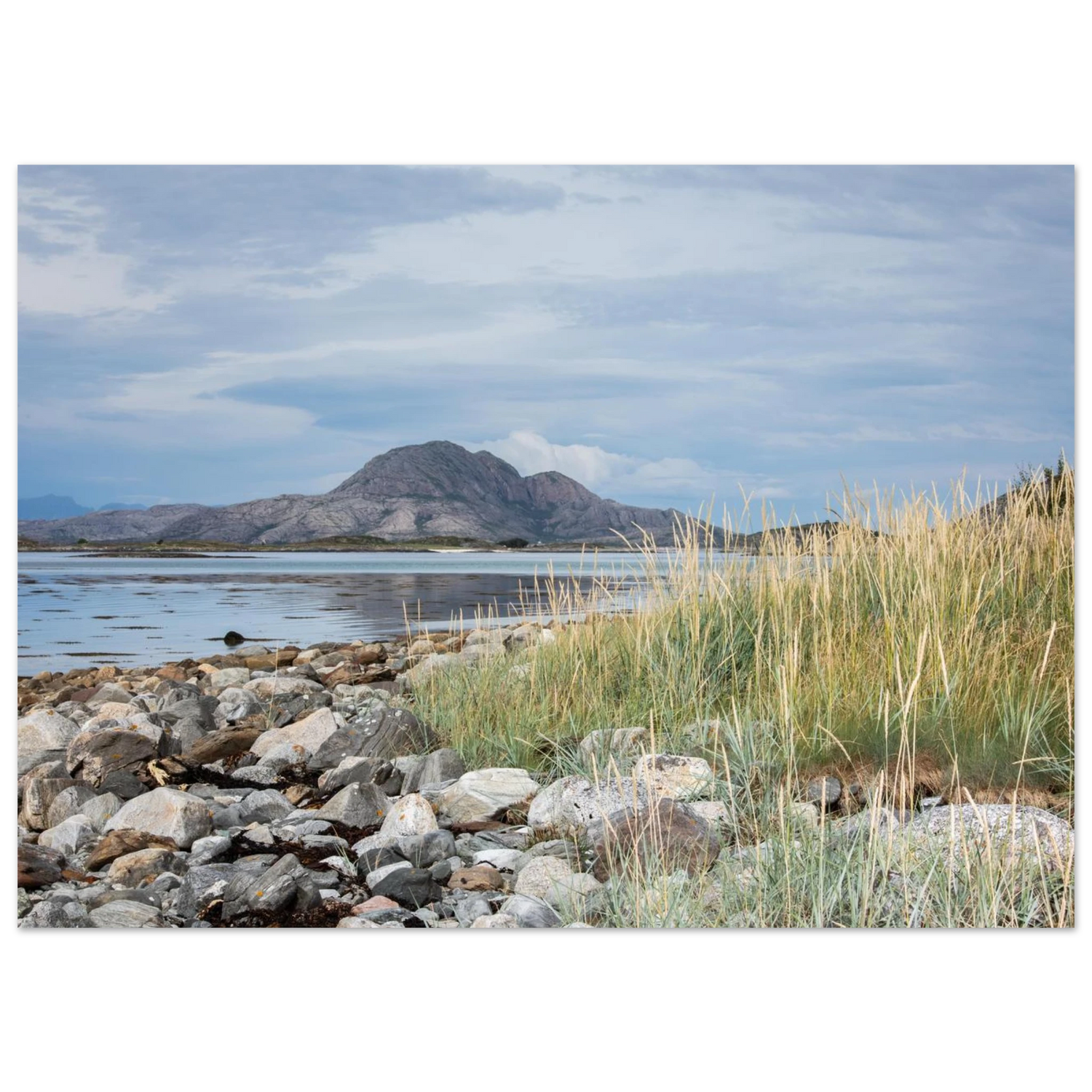 58a0ce89-ff19-41c1-845a-25794dfdc2a0