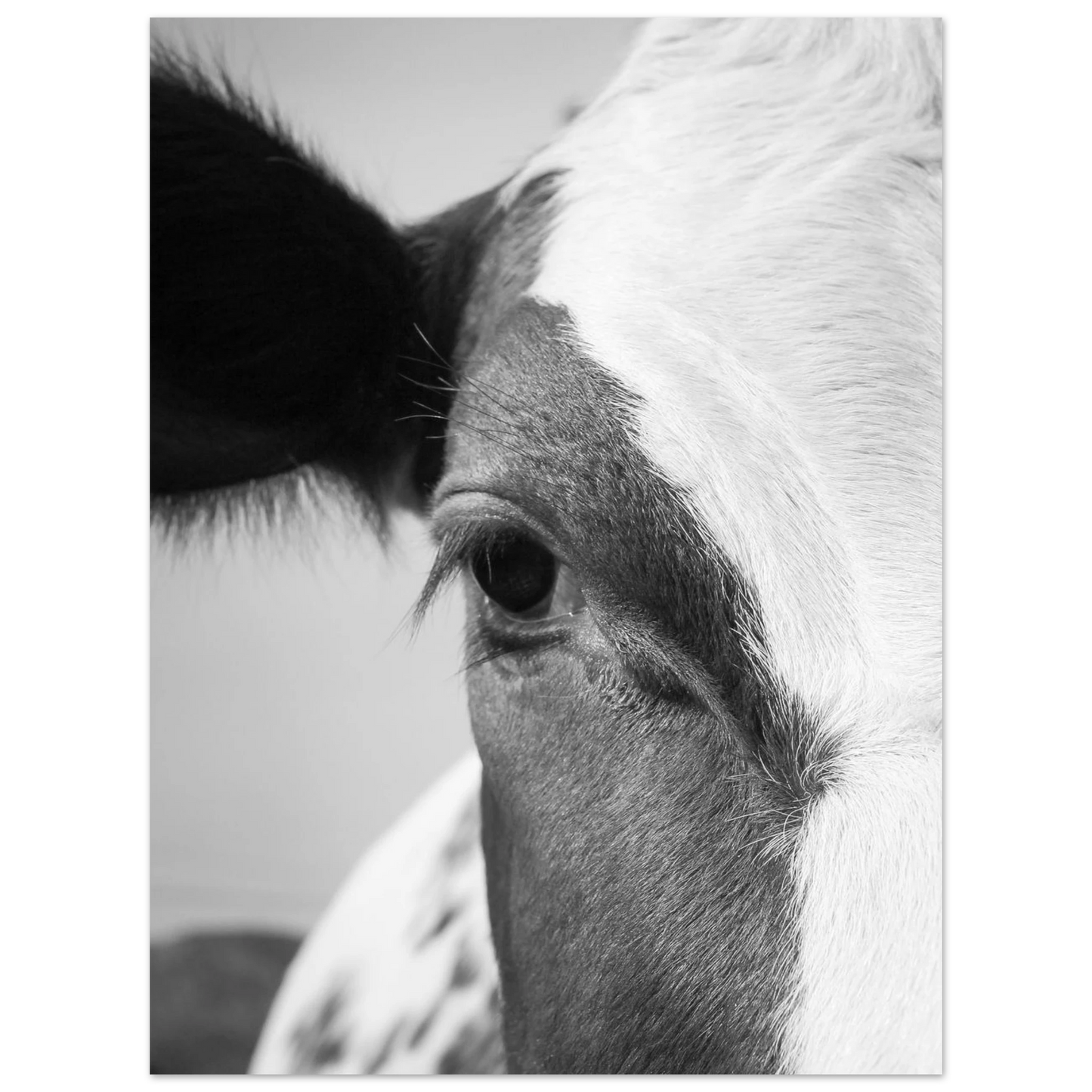 596bedfd-aed3-447b-989a-dc9a19750f7a