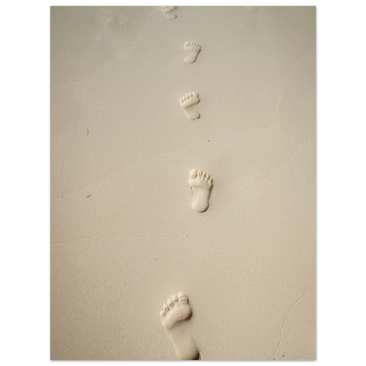 5a896972-8456-47bf-9cf7-296165a92542