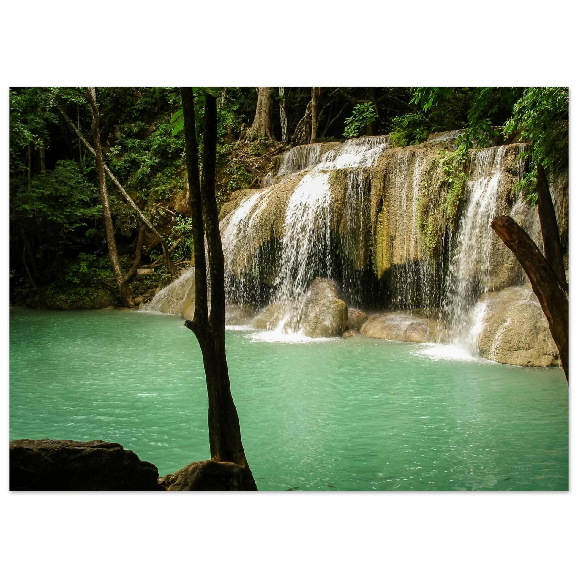 5c7de286-705c-4d0e-b116-08e0709902b0