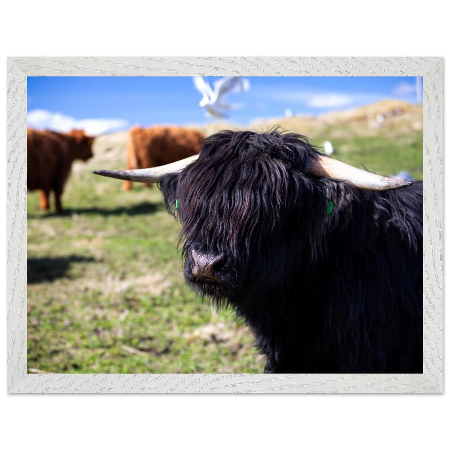 5d1bf6b2-21d6-47b9-9d73-18793e7533c3