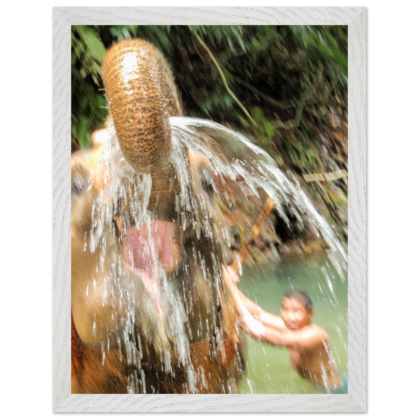 5d63f117-cea9-41a6-9f74-73dd0d3166b8