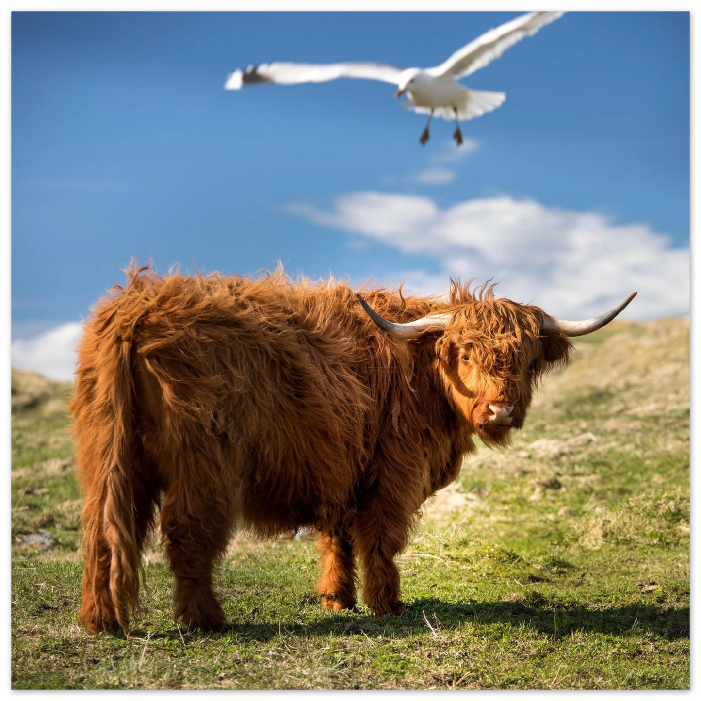 62bd12b2-30a9-4ce8-9638-7e0512a95a2b