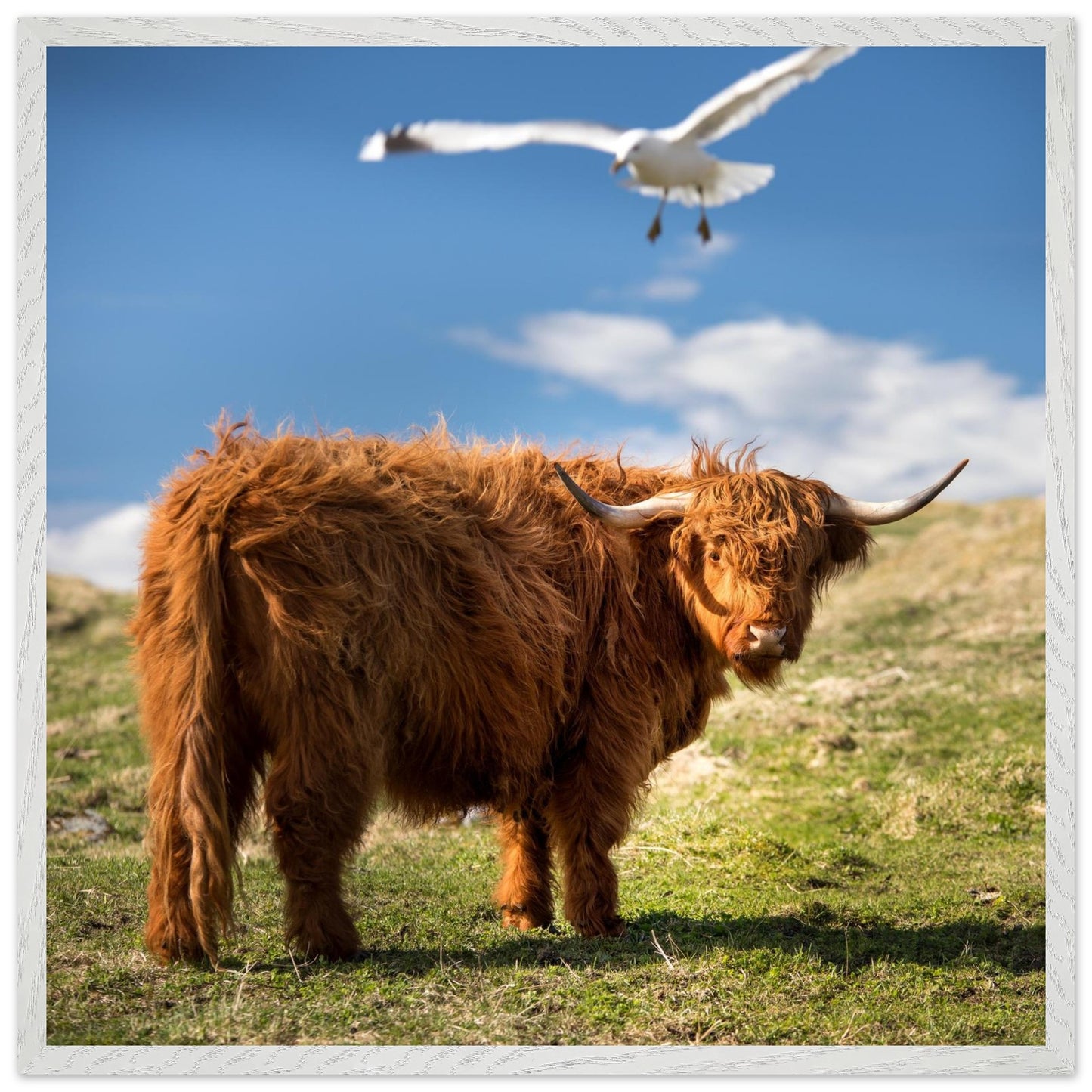 6860e342-9188-4e81-9d37-0e5fcb2e7db8