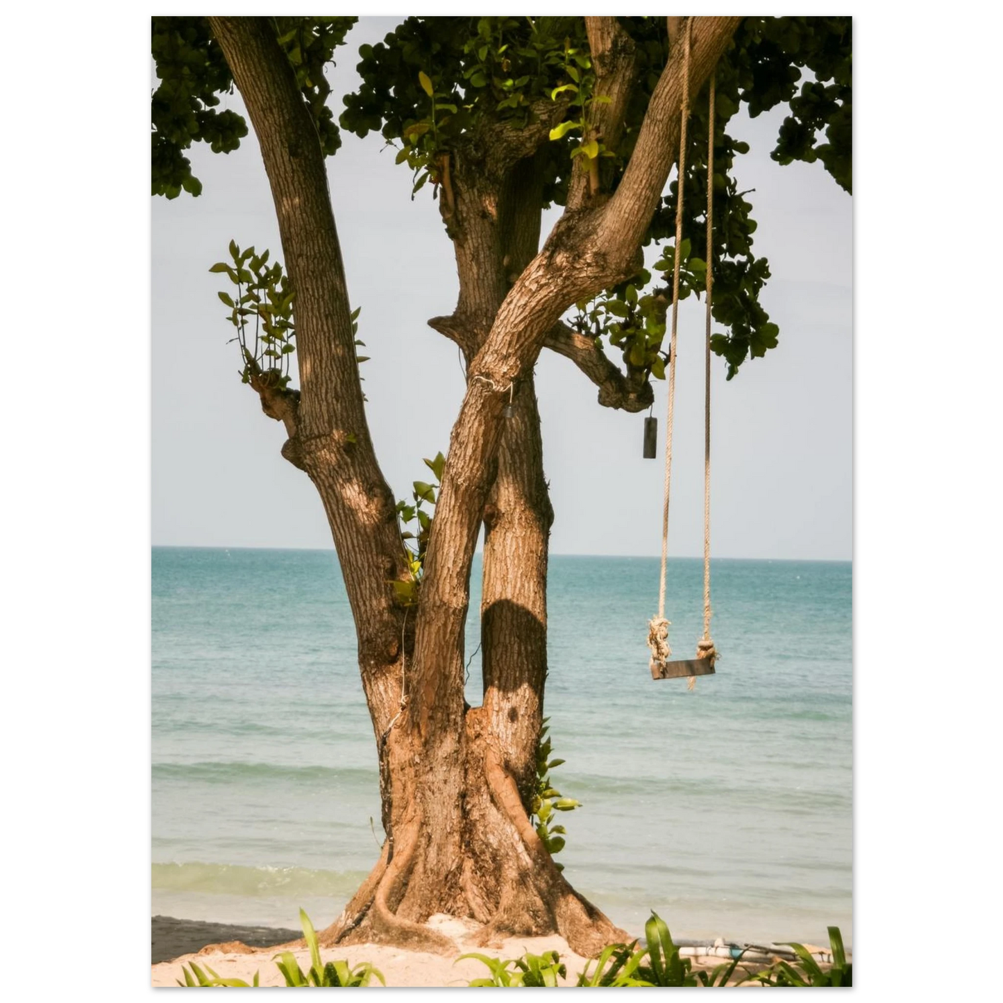 6ac515d6-d37b-41a0-b448-97d7158fc022