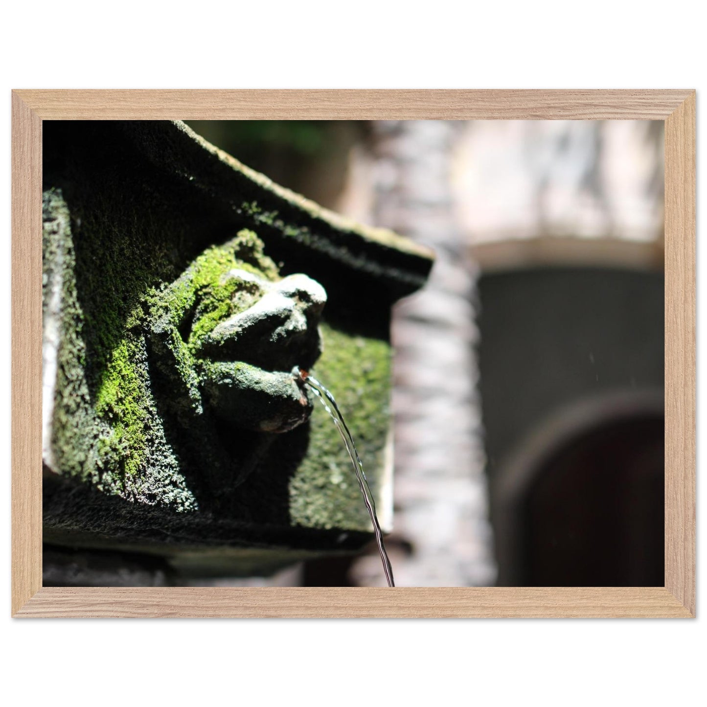 6fb6fec6-b8d9-46dc-a618-a6570c35f16f