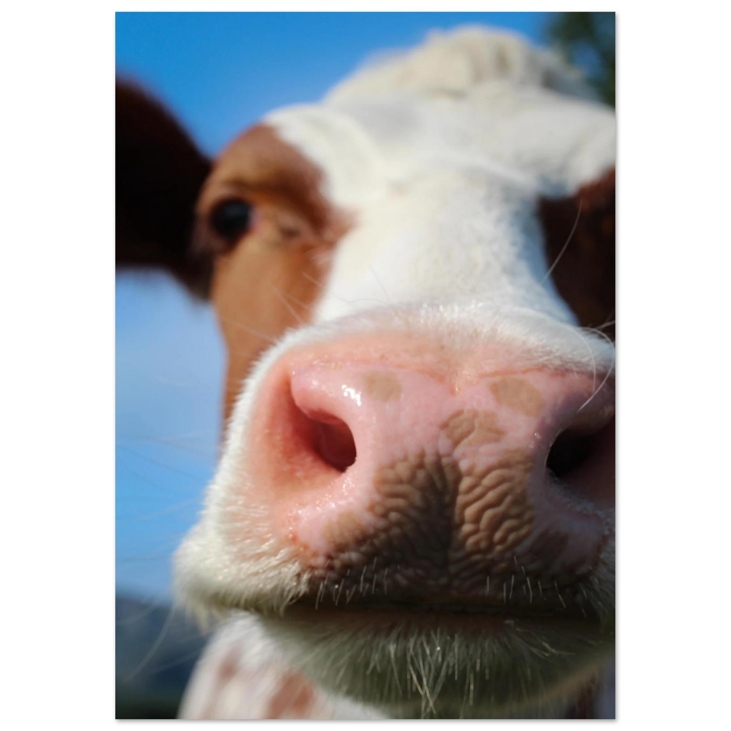 71478d69-a6de-4696-9afe-d59d8b213a04