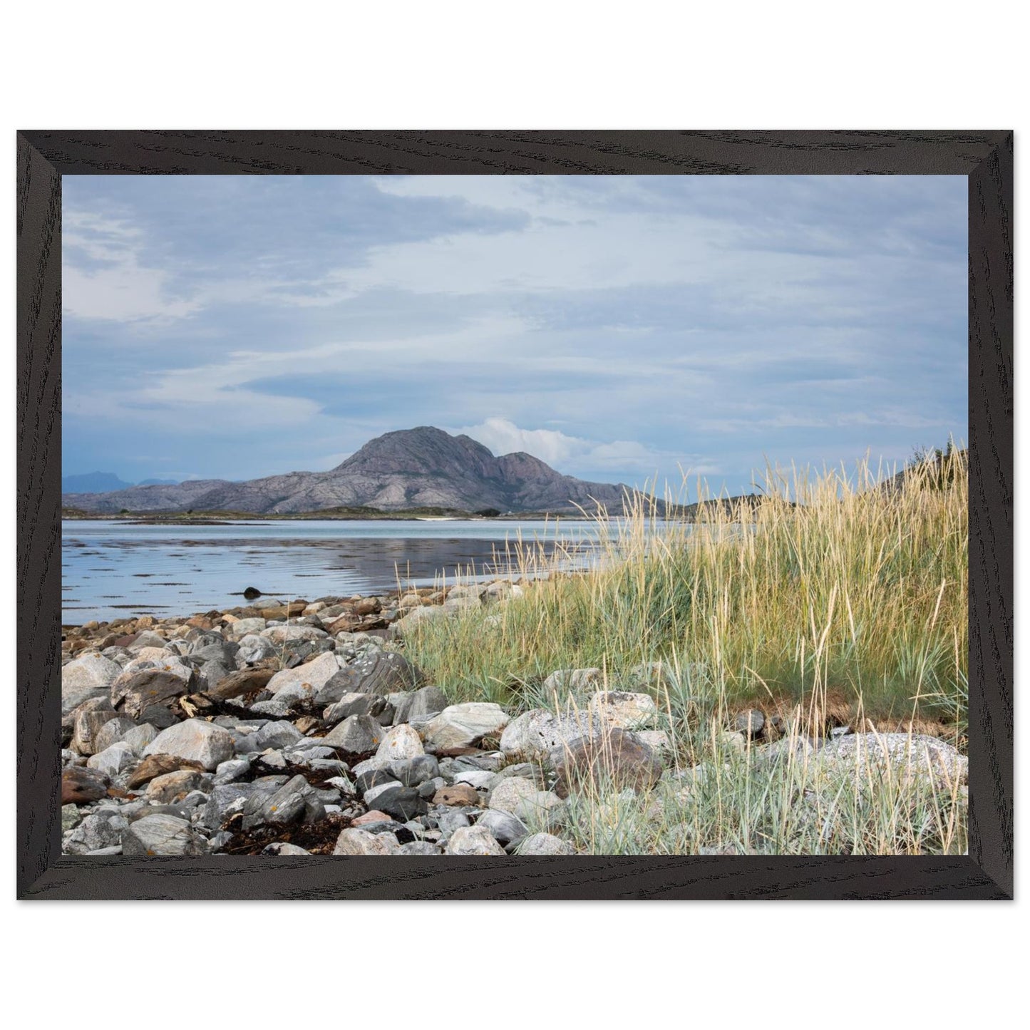 723e0ddf-ff0a-46ea-98b8-37867e7f60f5