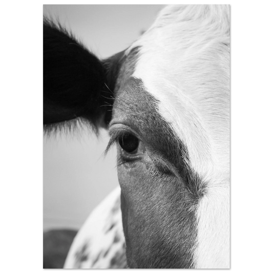 72f77b02-f0a4-45c9-a6e8-3bd7e970967b