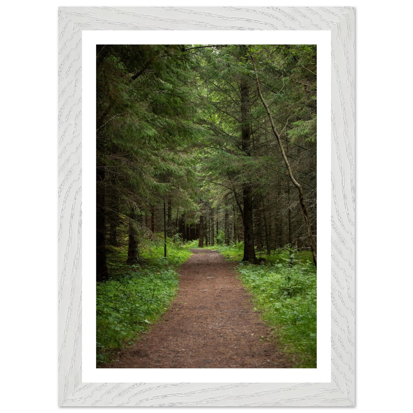 7a90372f-e689-4297-bf92-c2abde4f8b19