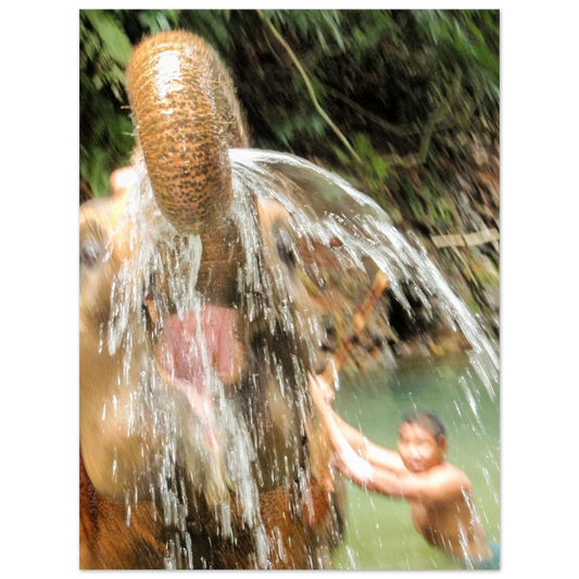 7b00eb36-26fe-448a-b406-78f6f6ec50d9